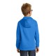 Port & Company®Youth Performance Fleece Pullover Hooded Sweatshirt. PC590YH