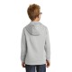 Port & Company®Youth Performance Fleece Pullover Hooded Sweatshirt. PC590YH