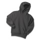 Port & Company® - Youth Core Fleece Pullover Hooded Sweatshirt.  PC90YH