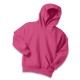 Port & Company® - Youth Core Fleece Pullover Hooded Sweatshirt.  PC90YH