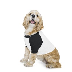 American Apparel - Dog Poly/Cotton Three-Quarter Sleeve Raglan Tee