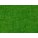 Turf Green (Gildan)