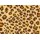 Leopard Triblend (J. America) 