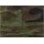 Woodland Camo (CAP AMERICA) 