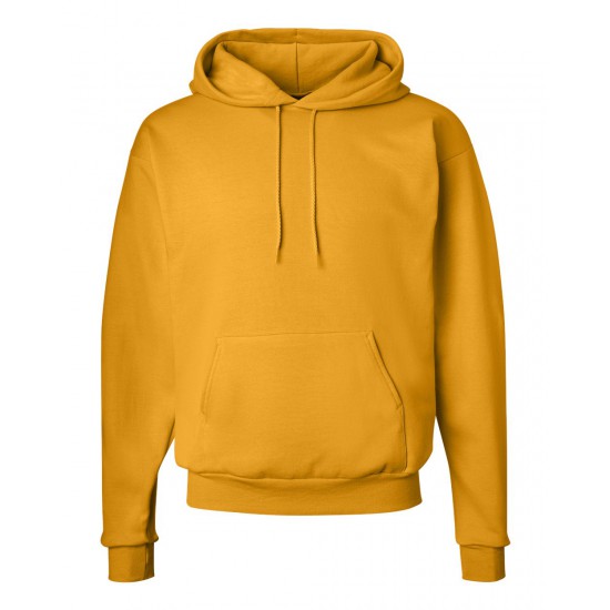 Hanes - Ecosmart® Hooded Sweatshirt