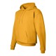 Hanes - Ecosmart® Hooded Sweatshirt