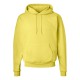 Hanes - Ecosmart® Hooded Sweatshirt