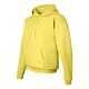 Hanes - Ecosmart® Hooded Sweatshirt