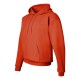 Hanes - Ecosmart® Hooded Sweatshirt