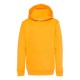 Hanes - Ecosmart® Youth Hooded Sweatshirt